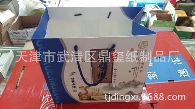天津印刷厂家专业定做 纸质手提袋与服装手提袋图片展示